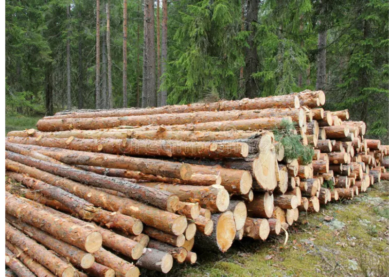 Pine Logs